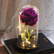Charger l&#39;image dans la galerie, La Rose Eternelle
